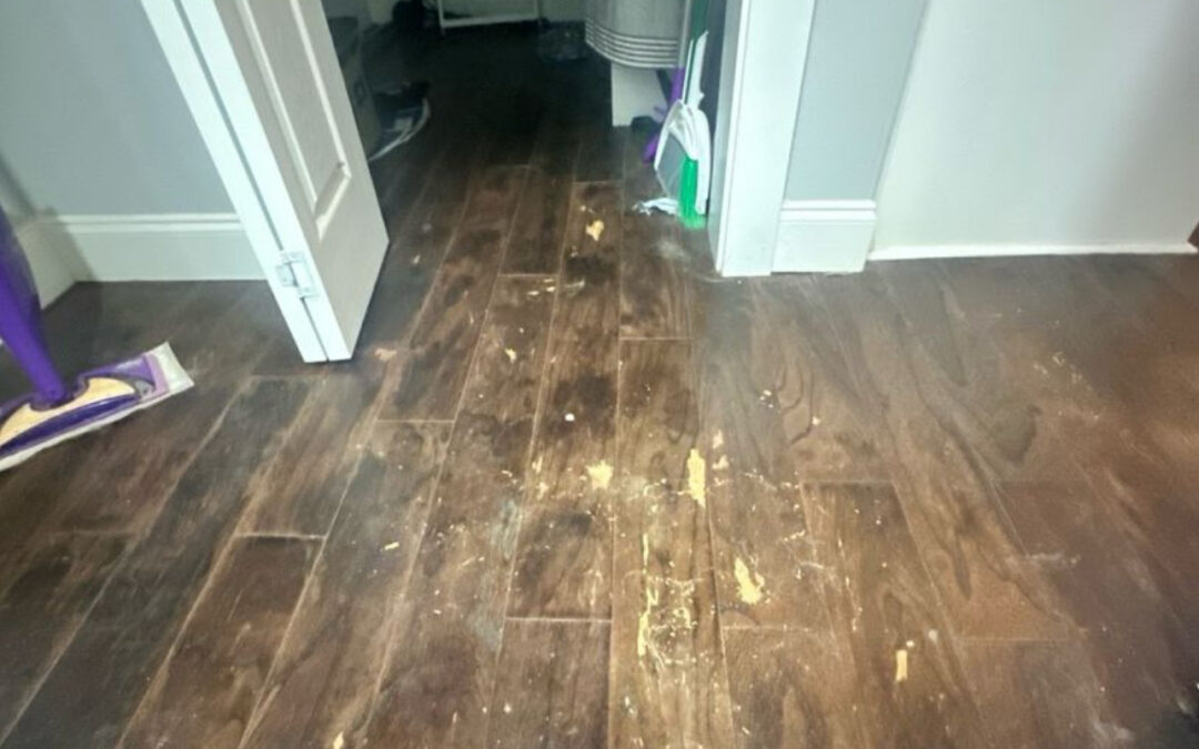 Understanding the Key Steps in Water Damage Restoration