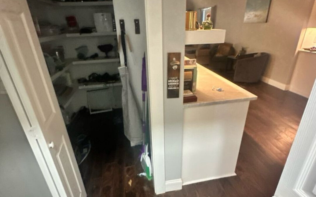 Why Immediate Action Matters in Post-Fire Water Damage Recovery